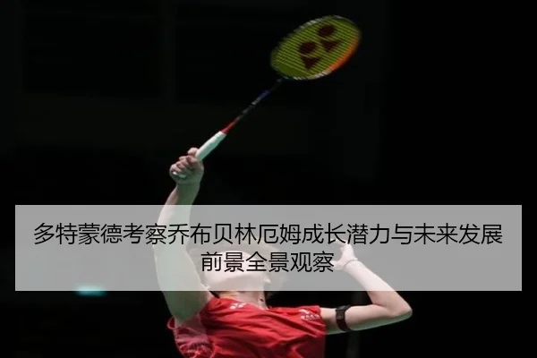 多特蒙德考察乔布贝林厄姆成长潜力与未来发展前景全景观察